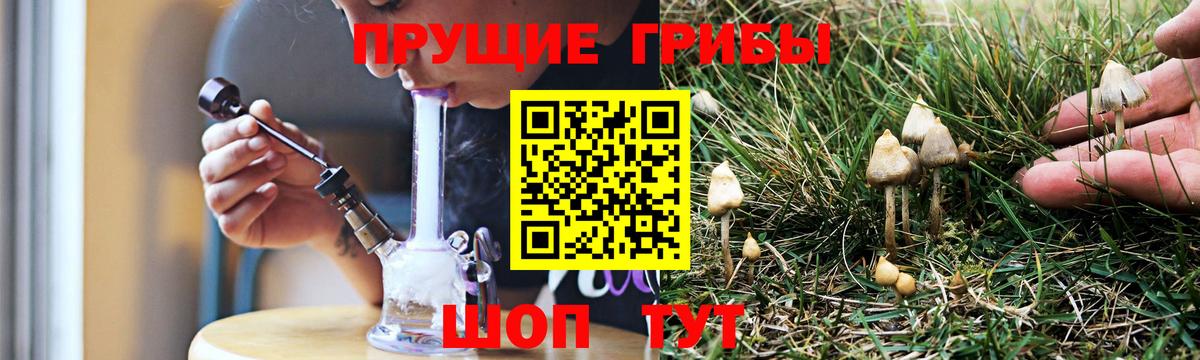 Ростов-на-Дону  Псилоцибиновые грибы Psilocybine cubensis  Псилоцибиновые грибы мицелий  Вход с VPN 