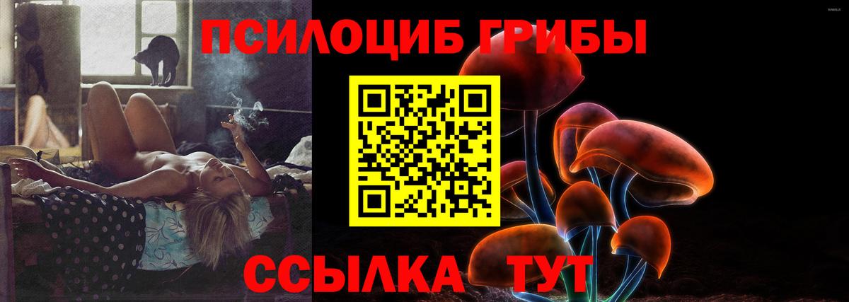 Псилоцибиновые грибы MAGIC MUSHROOMS Ростов-на-Дону